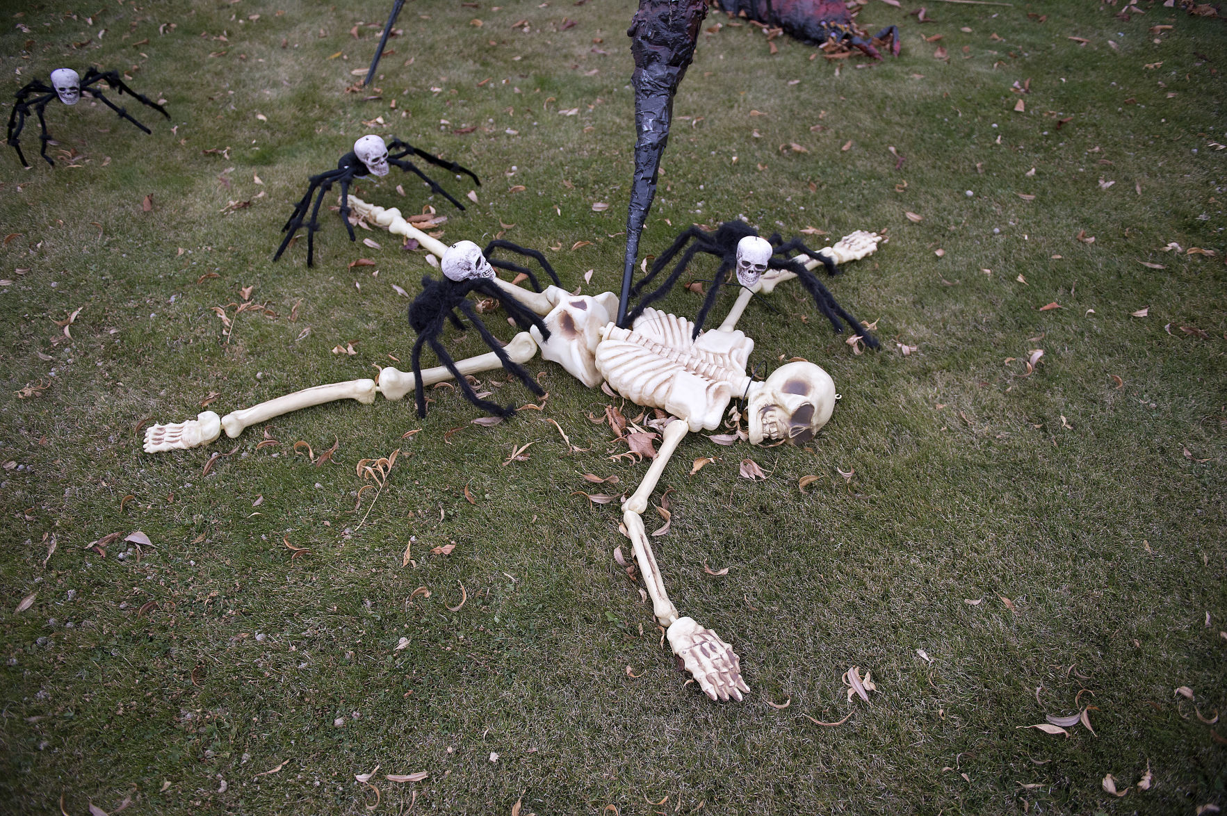 Halloween 2018